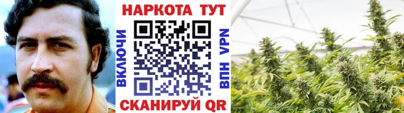 Купить ГАШ  Alpha-PVP  Галлюциногенные грибы  Кодеин  Мефедрон  Cocaine  Баксан