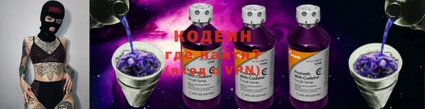 индика Коряжма