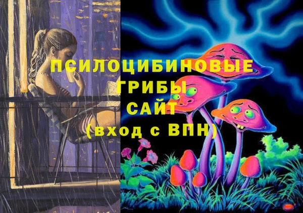 амфетамин Козловка