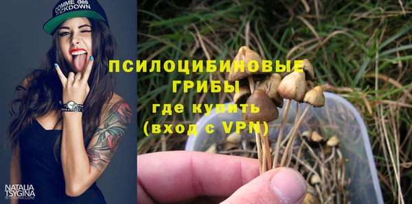 индика Коряжма