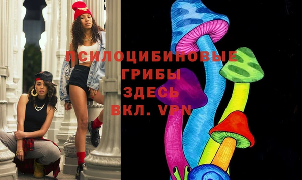 прущий лед Кодинск