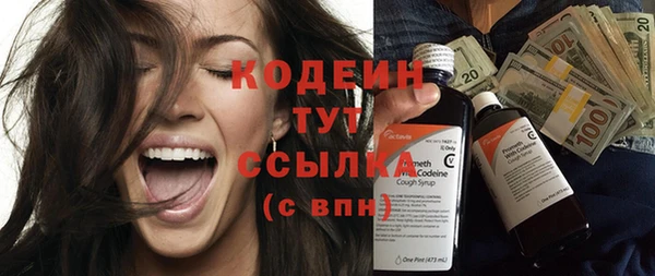 прущий лед Кодинск
